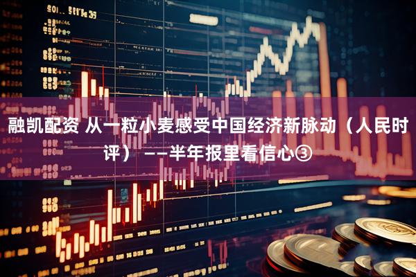 融凯配资 从一粒小麦感受中国经济新脉动（人民时评） ——半年报里看信心③