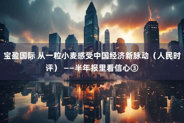 宝盈国际 从一粒小麦感受中国经济新脉动（人民时评） ——半年报里看信心③