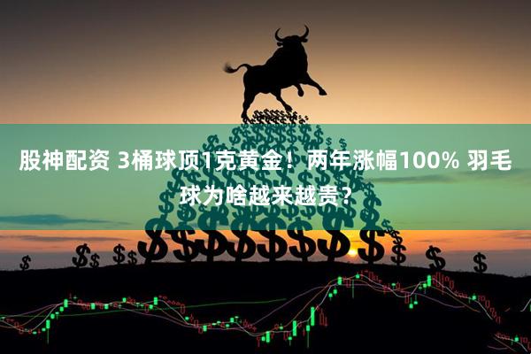 股神配资 3桶球顶1克黄金！两年涨幅100% 羽毛球为啥越来越贵？